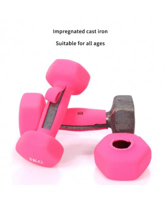 Custom LOGO hot selling cast iron dumbbell indoor women dedicated small rubber hexagonal dumbbell set